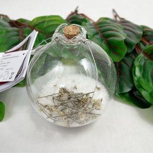 Anthropologie Lumineo Light-up Glass Ornament Decor